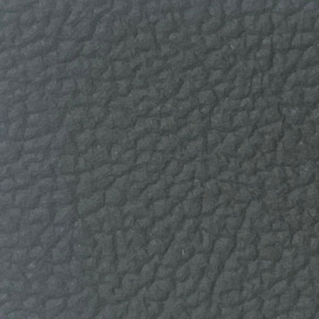 AUDI LEATHER